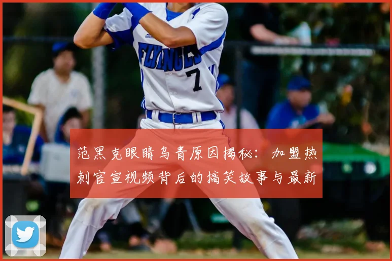 范黑克眼睛乌青原因揭秘:加盟热刺官宣视频背后的搞笑故事与最新伤情解析