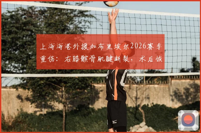 上海海港外援加布里埃尔2026赛季重伤:右膝髌骨肌腱断裂,术后恢复时间与球队影响分析