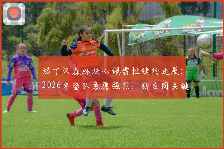 诺丁汉森林核心佩雷拉续约进展：2026年留队意愿强烈，新合同关键点解析与球队阵容影响